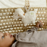 Load image into Gallery viewer, FehnNATUR Mini Musical Sheep