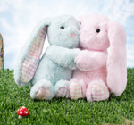Load image into Gallery viewer, Petite Vous Plush Soft Toy - Poppy the Rainbow Gingham Bunny (pink)
