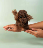 Load image into Gallery viewer, Kitty & Raffy - Snuggle-Snap Raffy