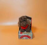 Load image into Gallery viewer, Kitty & Raffy - Snuggle-Snap Raffy