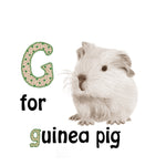 Load image into Gallery viewer, Sarah Prince - An ABC of Baby Animals