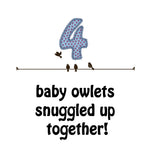 Load image into Gallery viewer, Sarah Prince - A 123 of Baby Birds