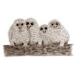 Load image into Gallery viewer, Sarah Prince - A 123 of Baby Birds