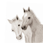 Load image into Gallery viewer, Sarah Prince - A Book Of Farm Babies