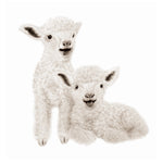 Load image into Gallery viewer, Sarah Prince - A Book Of Farm Babies