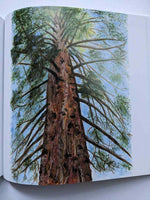 Load image into Gallery viewer, Sharon J Yaxley - Spirit of the Gorge