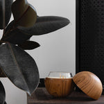 Load image into Gallery viewer, Only Orb Teak Orb &amp; Candle Orenda - Saffron &amp; Labdanum
