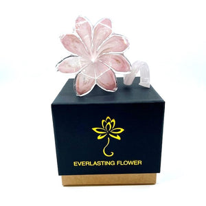 Glass Everlasting Flower - Pink