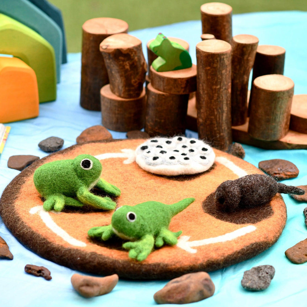 Tara Treasures Felt Life Cycle Of A Frog