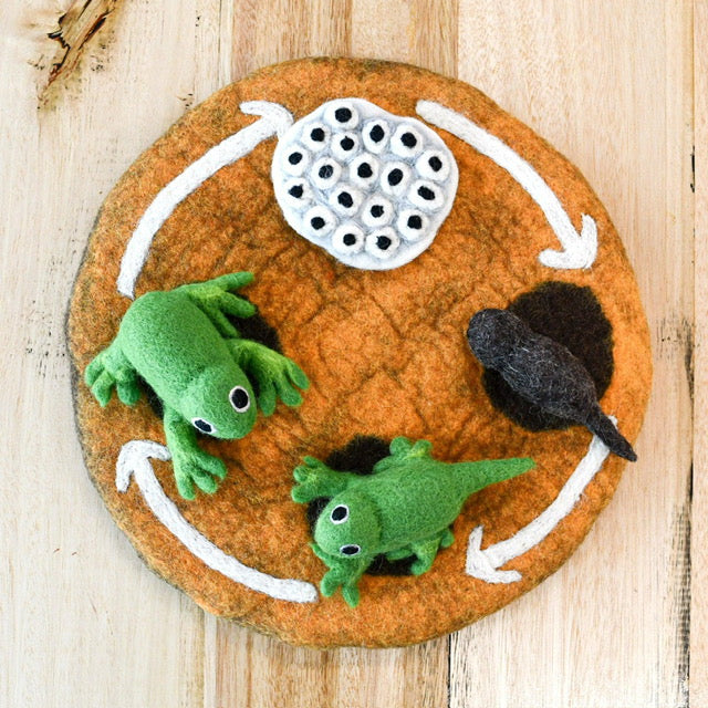 Tara Treasures Felt Life Cycle Of A Frog