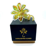 Load image into Gallery viewer, Glass Everlasting Flower - Multicolour
