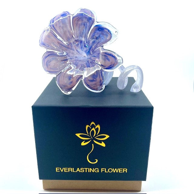 Glass Everlasting Flower - Pink & Blue 