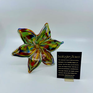 Large Glass Everlasting Flower - Multi Colour