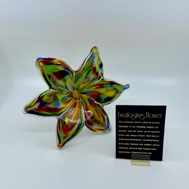 Large Glass Everlasting Flower - Multi Colour