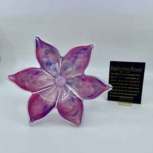 Large Glass Everlasting Flower - Pink & Blue