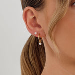 Load image into Gallery viewer, Linda Tahija Freshwater Pearl 4mm Stud Earrings - Gold 
