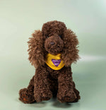 Load image into Gallery viewer, Kitty &amp; Raffy - Comfort Me Raffy Plush Companion
