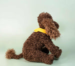Load image into Gallery viewer, Kitty &amp; Raffy - Comfort Me Raffy Plush Companion
