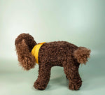 Load image into Gallery viewer, Kitty &amp; Raffy - Comfort Me Raffy Plush Companion
