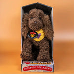 Load image into Gallery viewer, Kitty &amp; Raffy - Comfort Me Raffy Plush Companion
