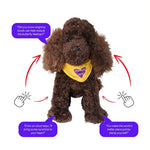 Load image into Gallery viewer, Kitty &amp; Raffy - Comfort Me Raffy Plush Companion
