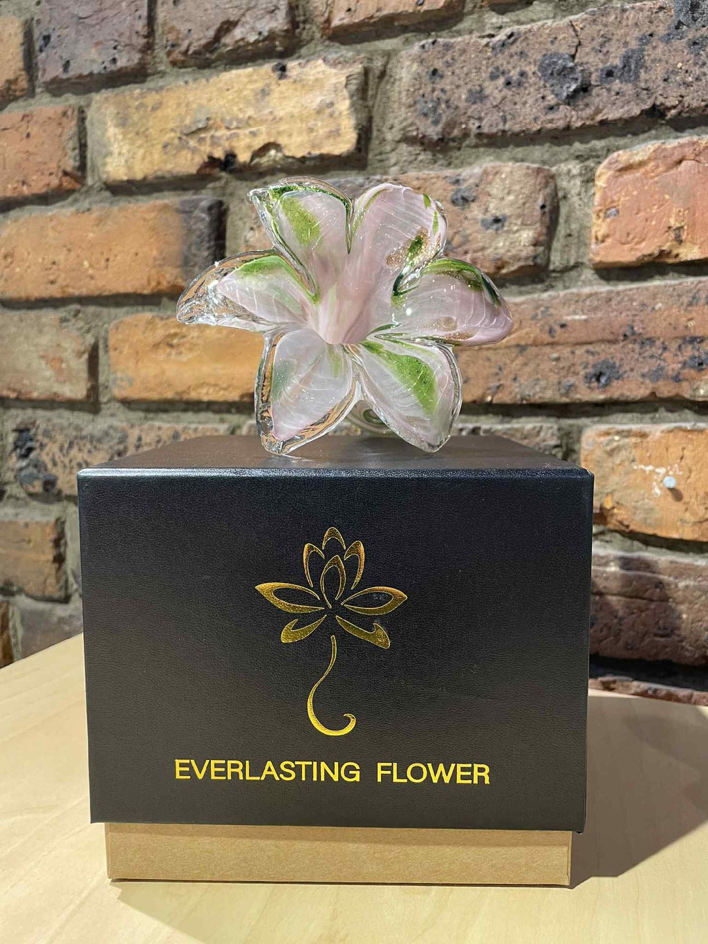 Caravel Glass Everlasting Flower - Soft Pink & Green