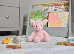 Load image into Gallery viewer, Bear &amp; Me by Charlie Bears - Truffles Piglet
