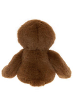 Load image into Gallery viewer, Bear &amp; Me by Charlie Bears - Sid Sloth
