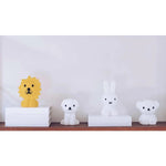 Load image into Gallery viewer, Mr Maria Bundle of Light Mini Night Light - Lion 12.6cm
