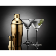 Tempa Aurora 4pc Cocktail Set - Gold