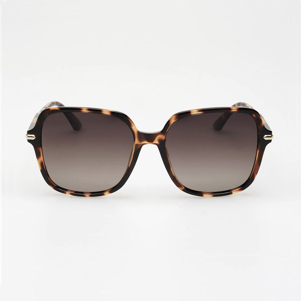 Locello Desi - Tortoiseshell | Brown