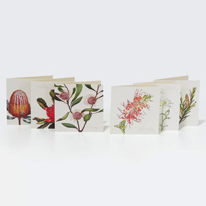 Bell Art Bushgems Boxed Cards 6pk - Australian Wildflowers