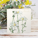 Load image into Gallery viewer, Bell Art Bushgems Card - Flannel Flower
