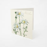 Load image into Gallery viewer, Bell Art Bushgems Card - Flannel Flower
