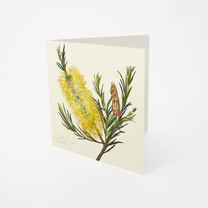 Bell Art Bushgems Card - Bottlebrush