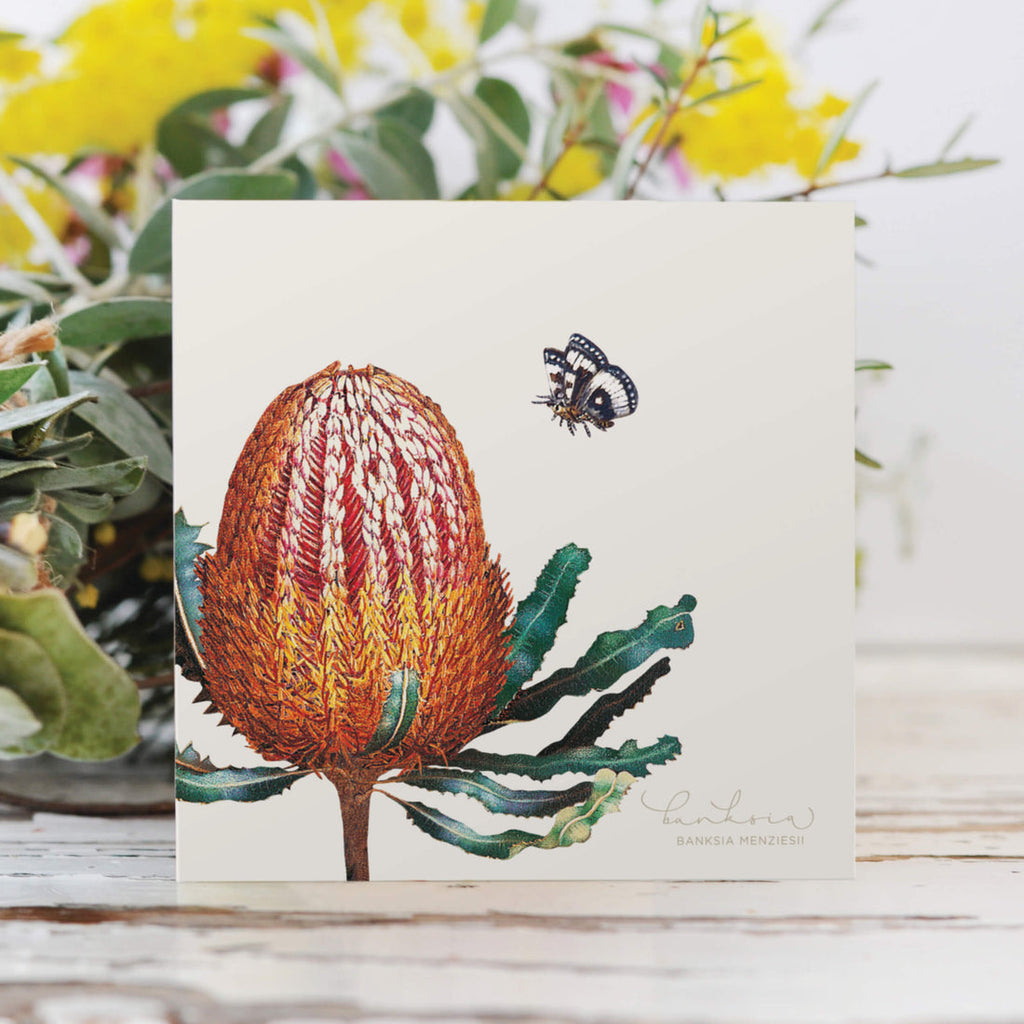 Bell Art Bushgems Card - Banksia