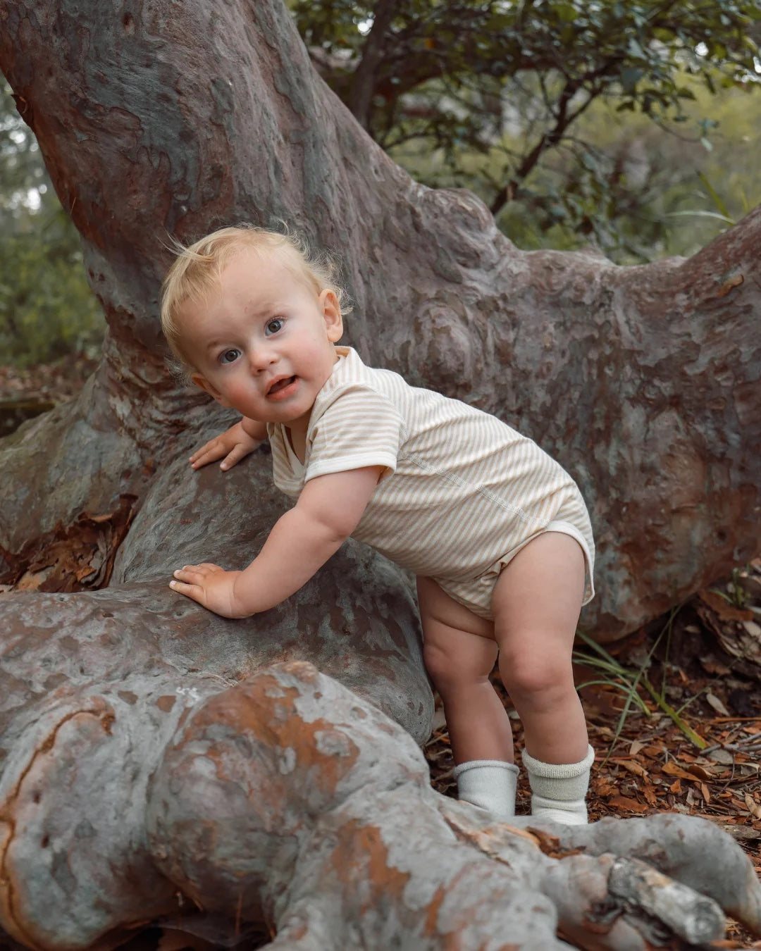 Fibre For Good Organic Jersey Stripe Short Sleeve Bodysuit with contrast Binding - Brown/Natural