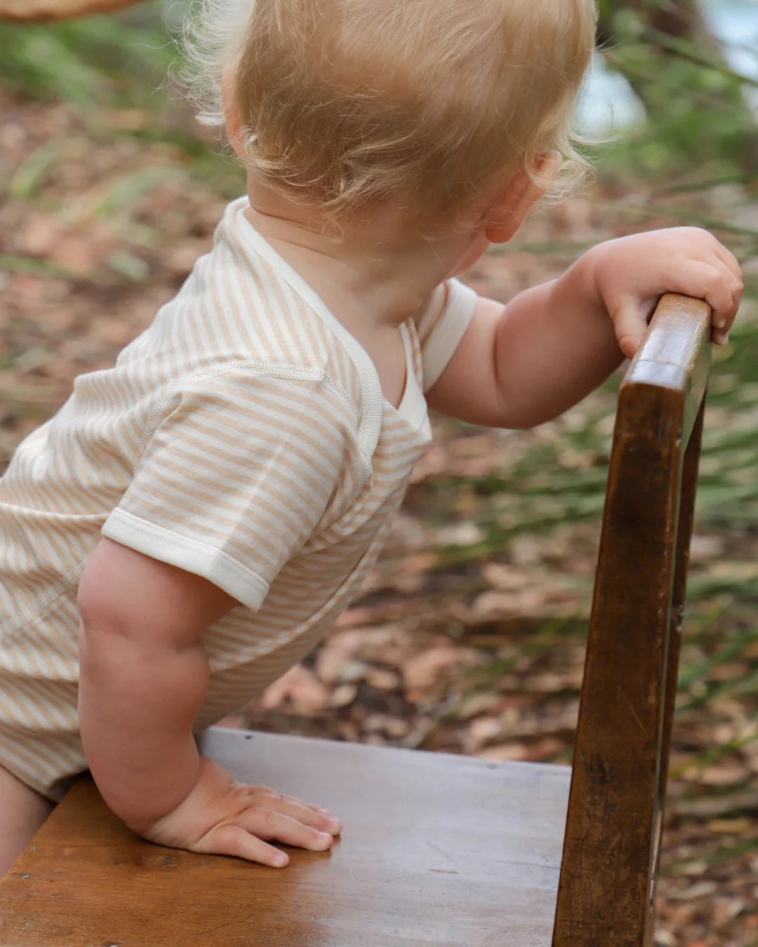 Fibre For Good Organic Jersey Stripe Short Sleeve Bodysuit with contrast Binding - Brown/Natural