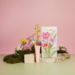Load image into Gallery viewer, Huxter Soap &amp; Hand Balm Set - White Florals &amp; French Pear
