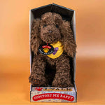 Load image into Gallery viewer, Kitty &amp; Raffy - Kitty &amp; I Confidence Bundle: Storybook + Comfort Me Raffy
