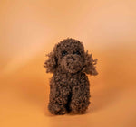 Load image into Gallery viewer, Kitty &amp; Raffy - Snuggle-Snap Raffy
