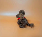 Load image into Gallery viewer, Kitty &amp; Raffy - Snuggle-Snap Raffy
