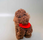 Load image into Gallery viewer, Kitty &amp; Raffy - Snuggle-Snap Raffy
