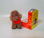 Load image into Gallery viewer, Kitty &amp; Raffy - Snuggle-Snap Raffy
