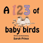 Load image into Gallery viewer, Sara Prince - A 123 of Baby Birds
